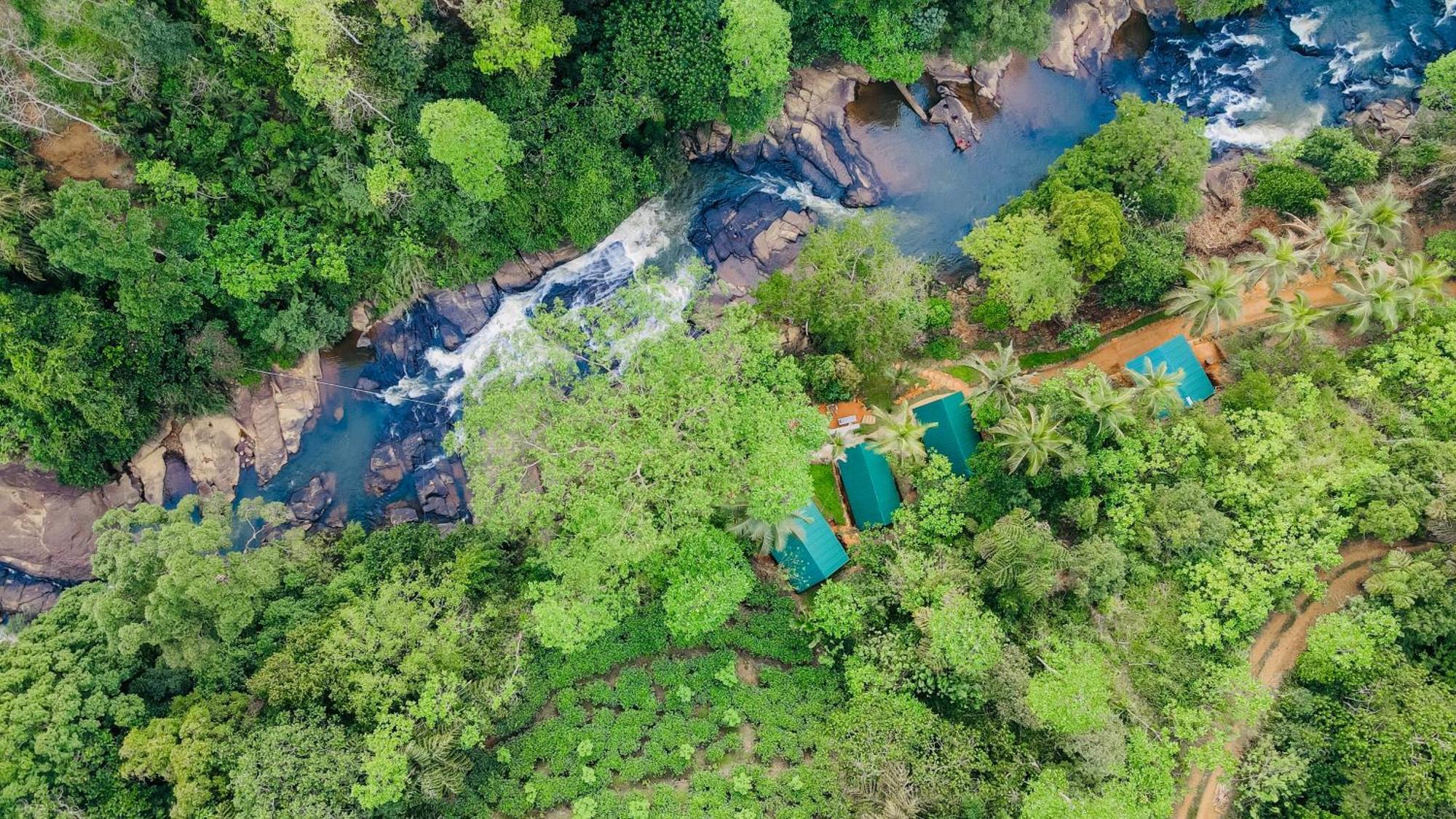 The Rainforest Hideaway Deniyaya Esterno foto