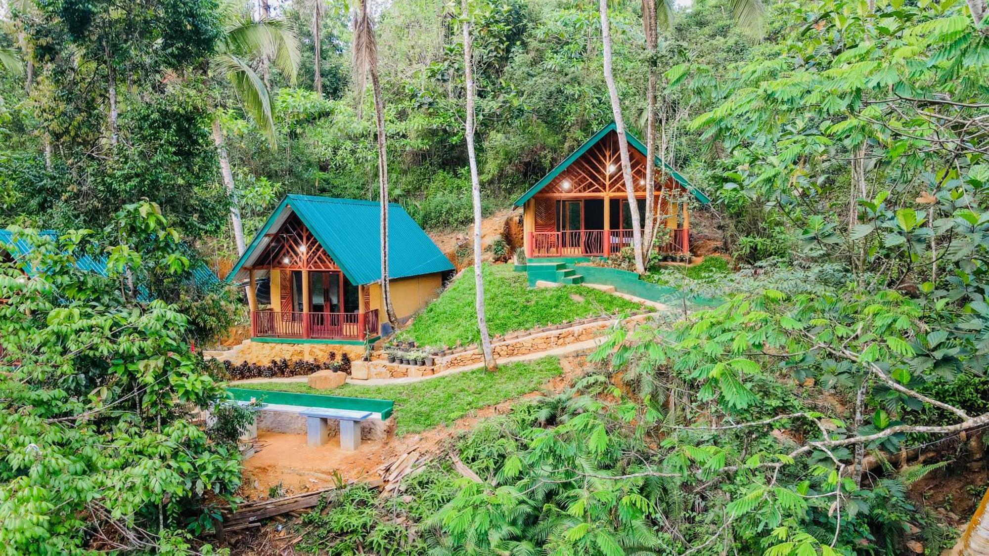 The Rainforest Hideaway Deniyaya Esterno foto