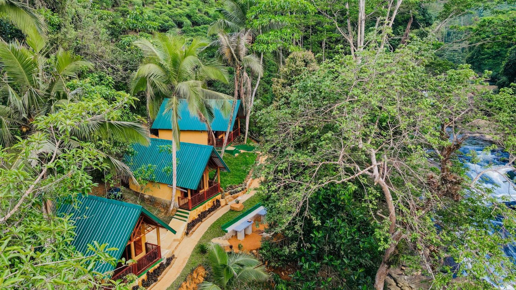 The Rainforest Hideaway Deniyaya Esterno foto