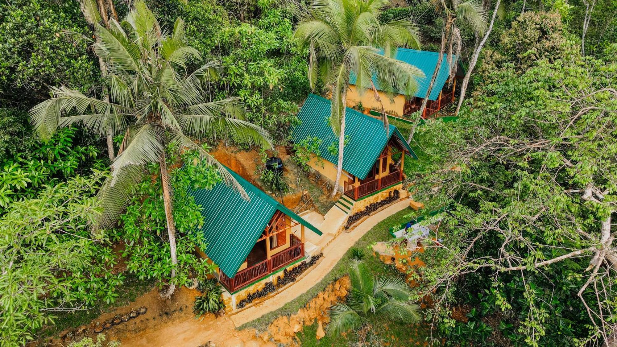 The Rainforest Hideaway Deniyaya Esterno foto