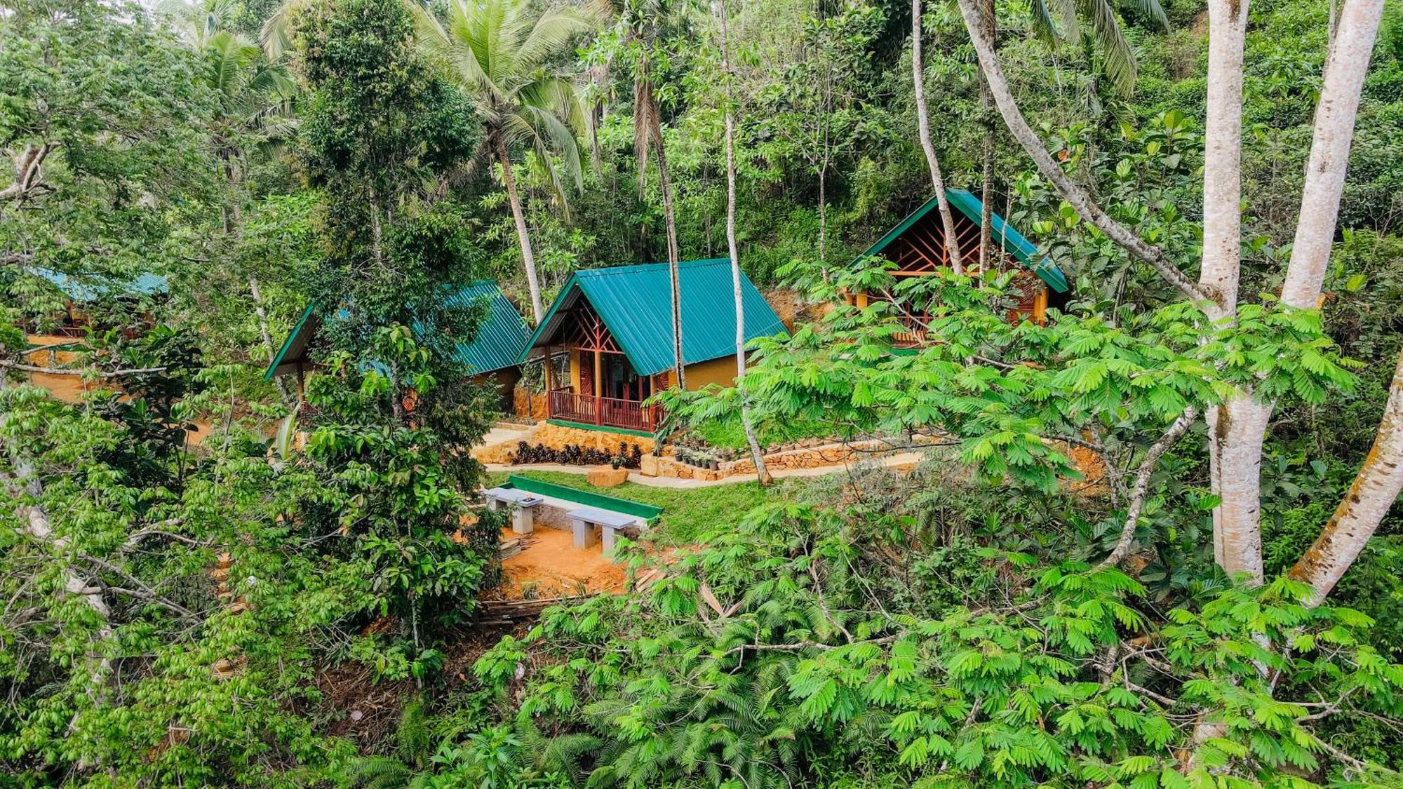 The Rainforest Hideaway Deniyaya Esterno foto
