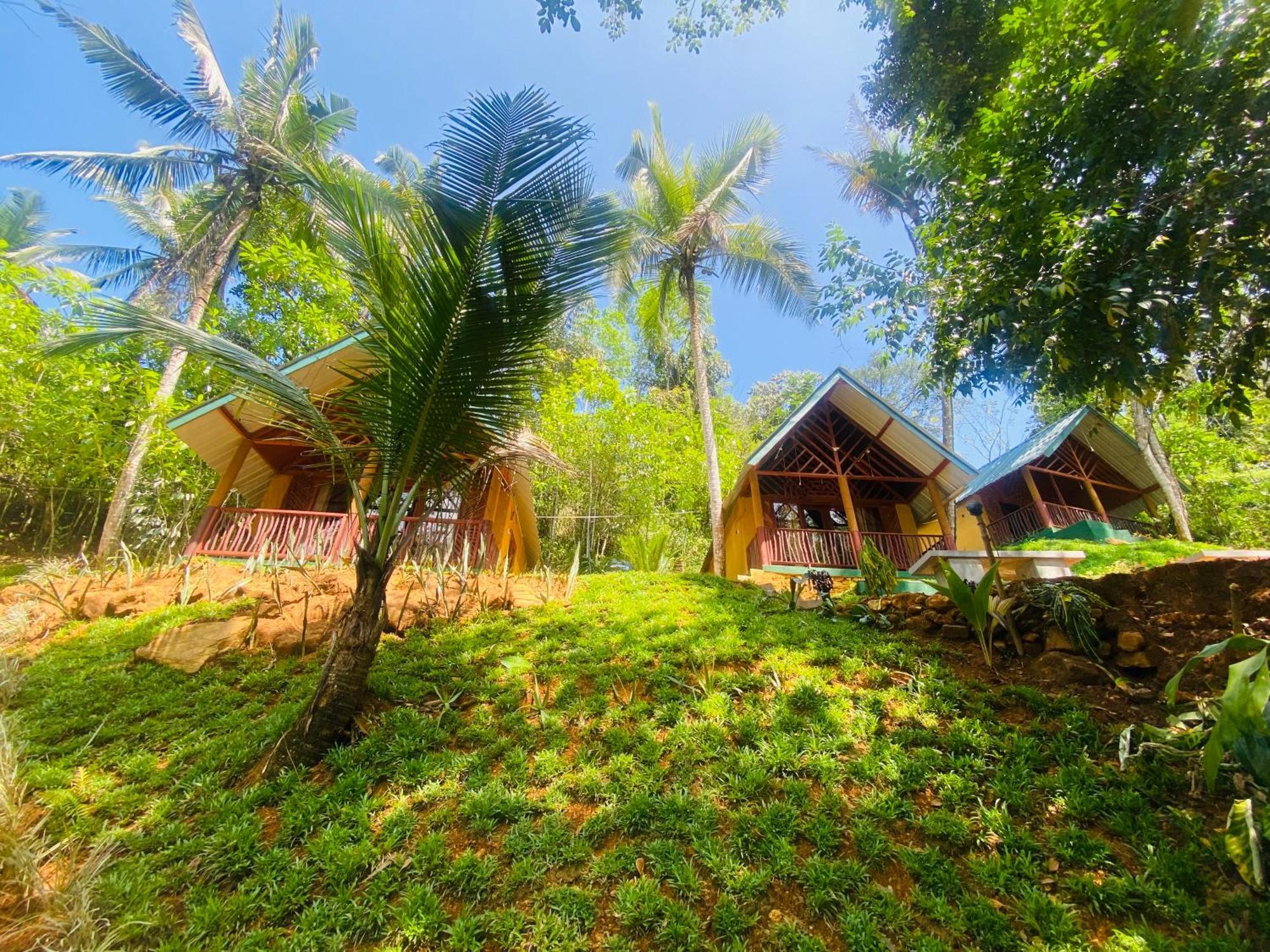 The Rainforest Hideaway Deniyaya Esterno foto