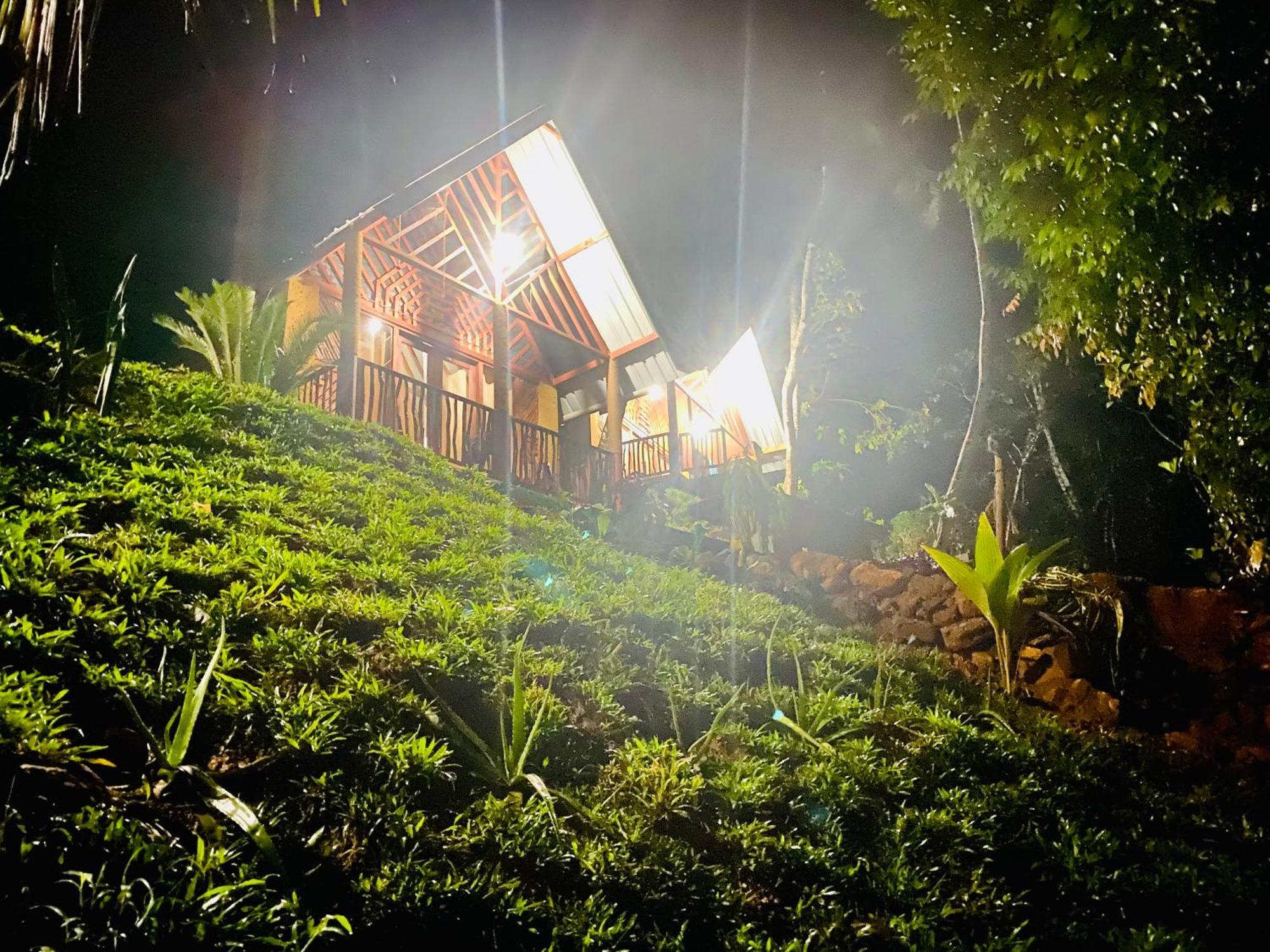 The Rainforest Hideaway Deniyaya Esterno foto