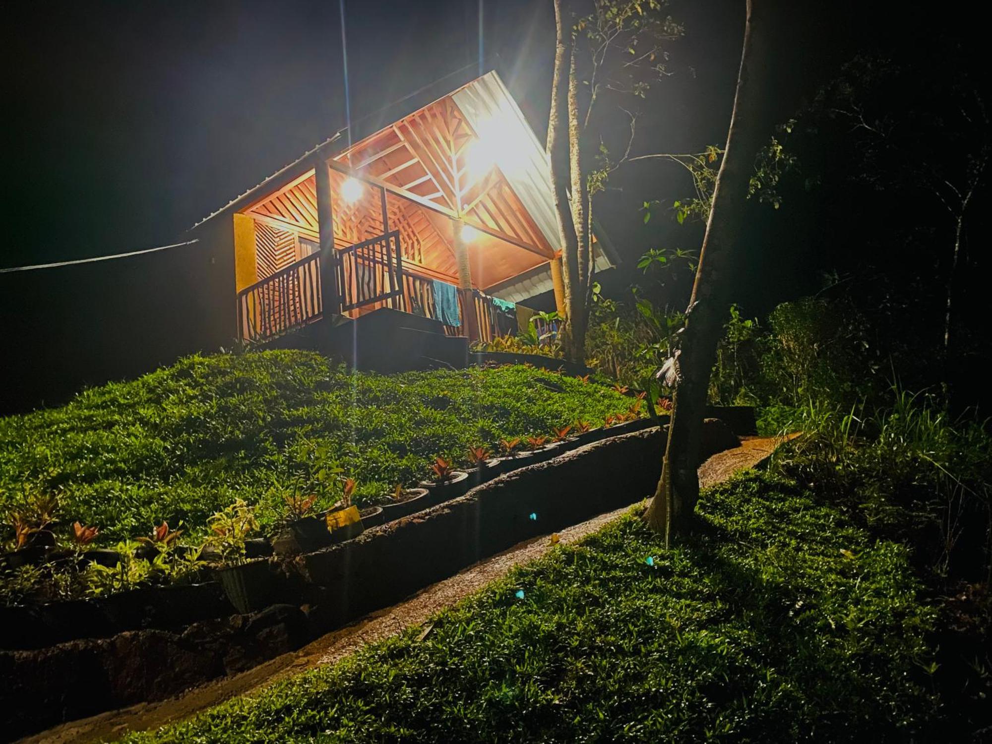 The Rainforest Hideaway Deniyaya Esterno foto