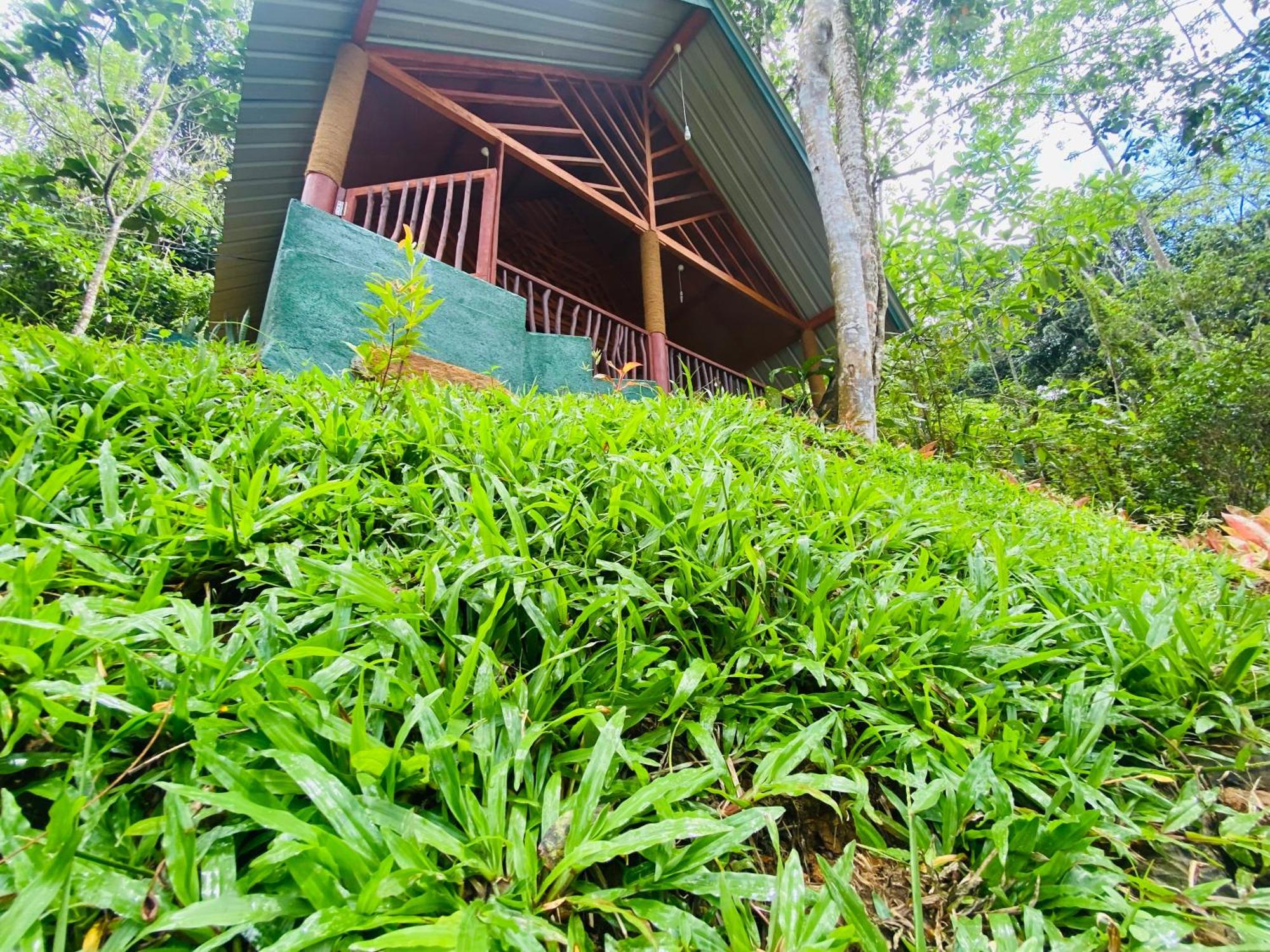 The Rainforest Hideaway Deniyaya Esterno foto