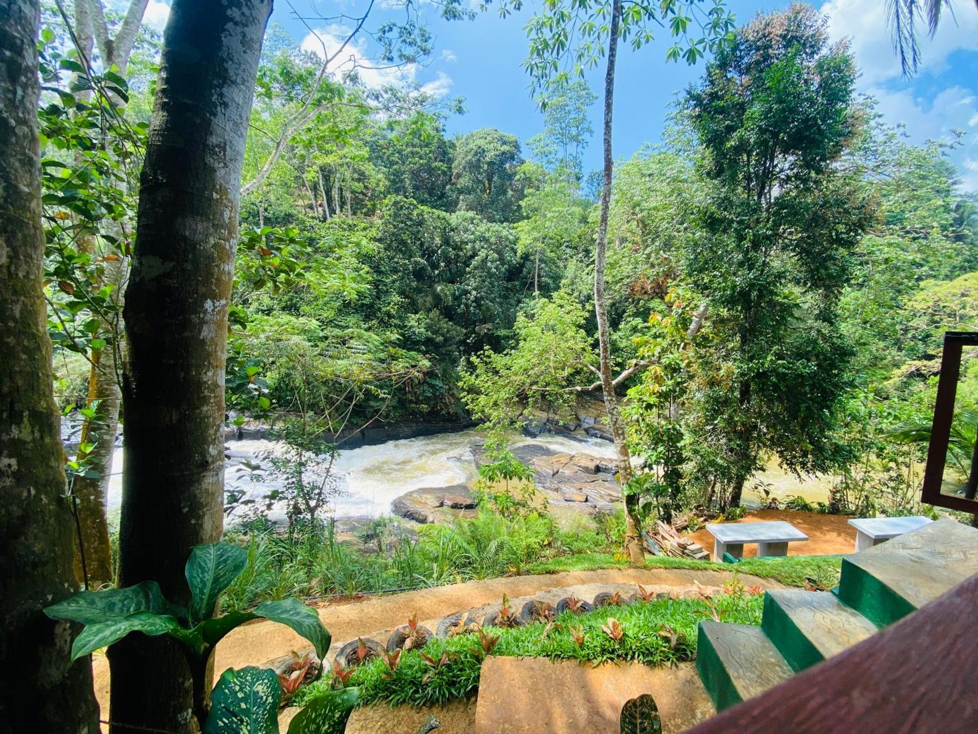 The Rainforest Hideaway Deniyaya Esterno foto