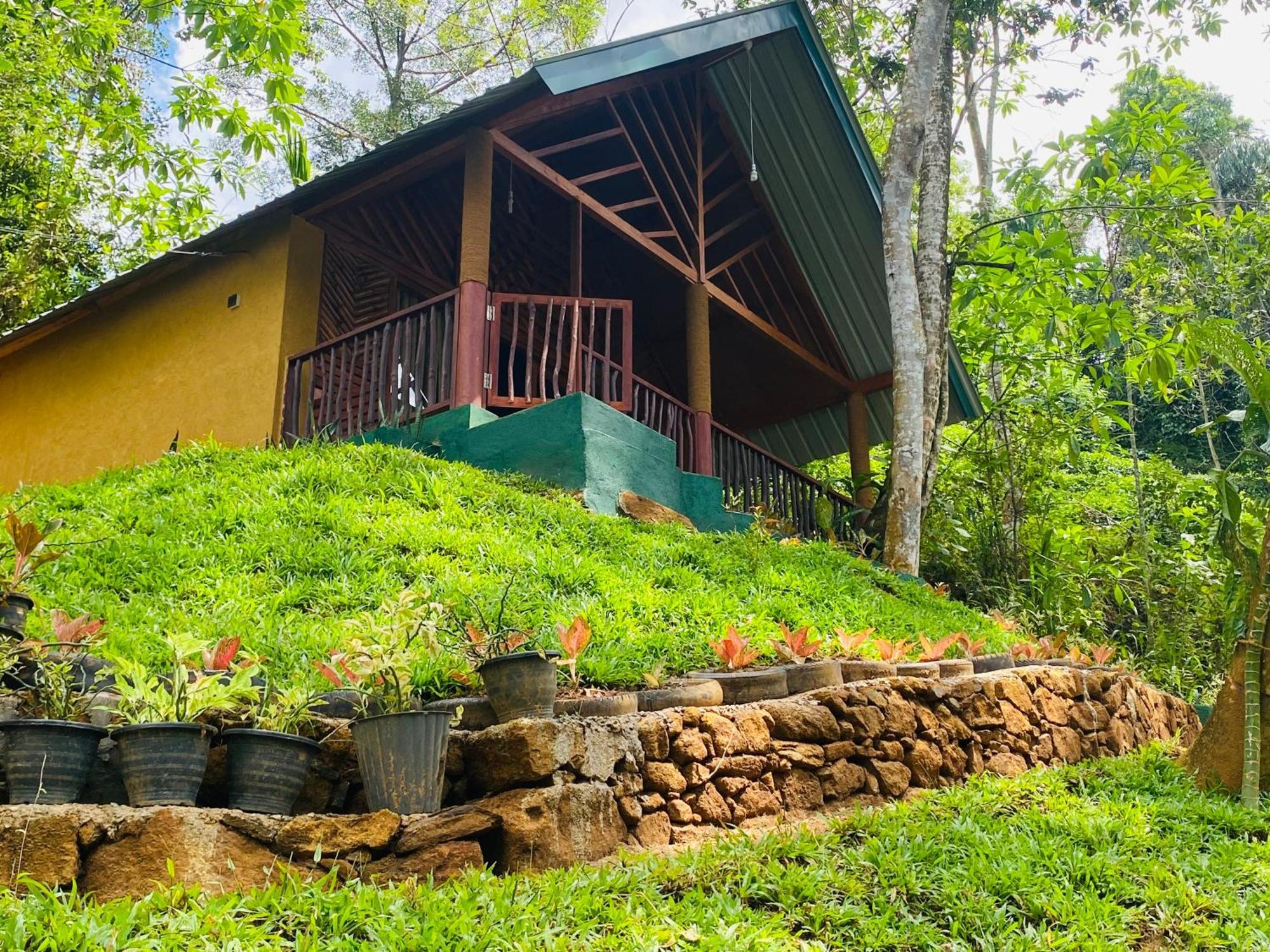 The Rainforest Hideaway Deniyaya Esterno foto