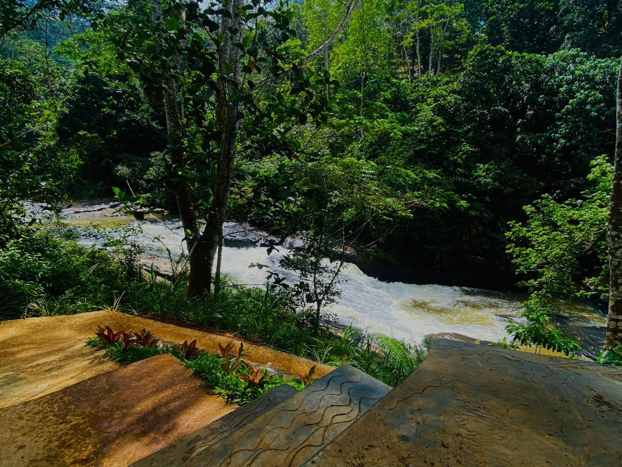 The Rainforest Hideaway Deniyaya Esterno foto