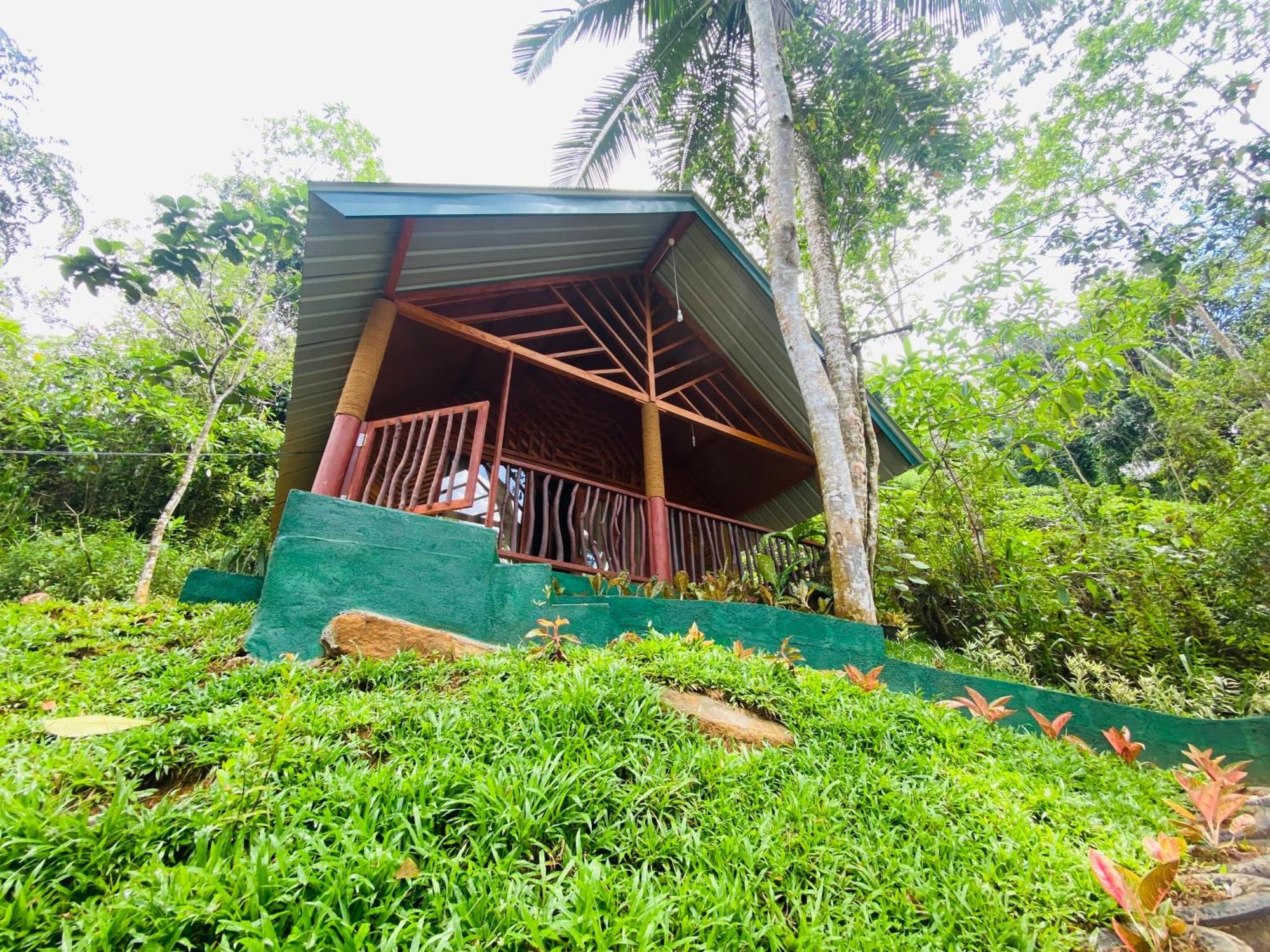 The Rainforest Hideaway Deniyaya Esterno foto
