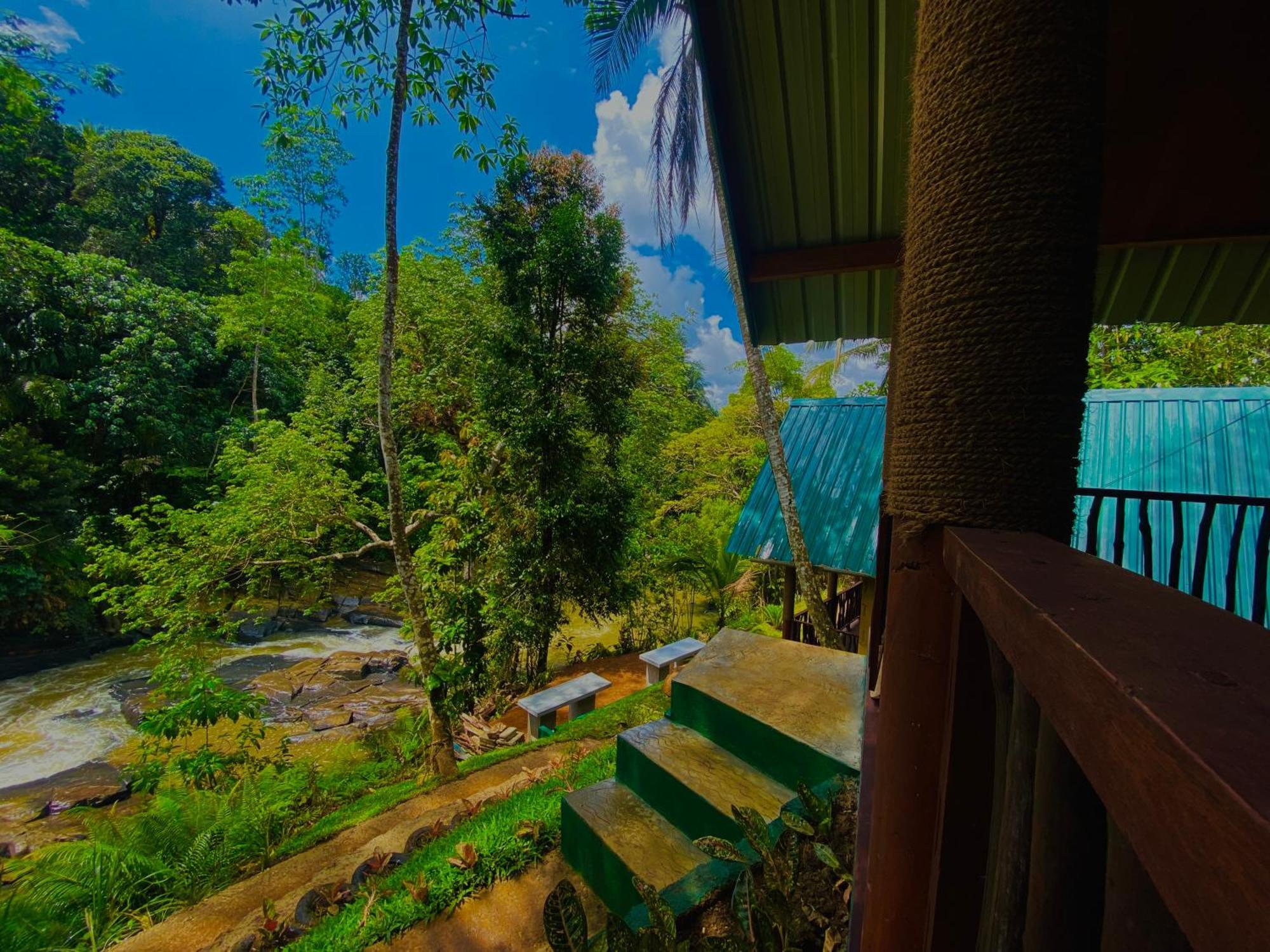 The Rainforest Hideaway Deniyaya Esterno foto