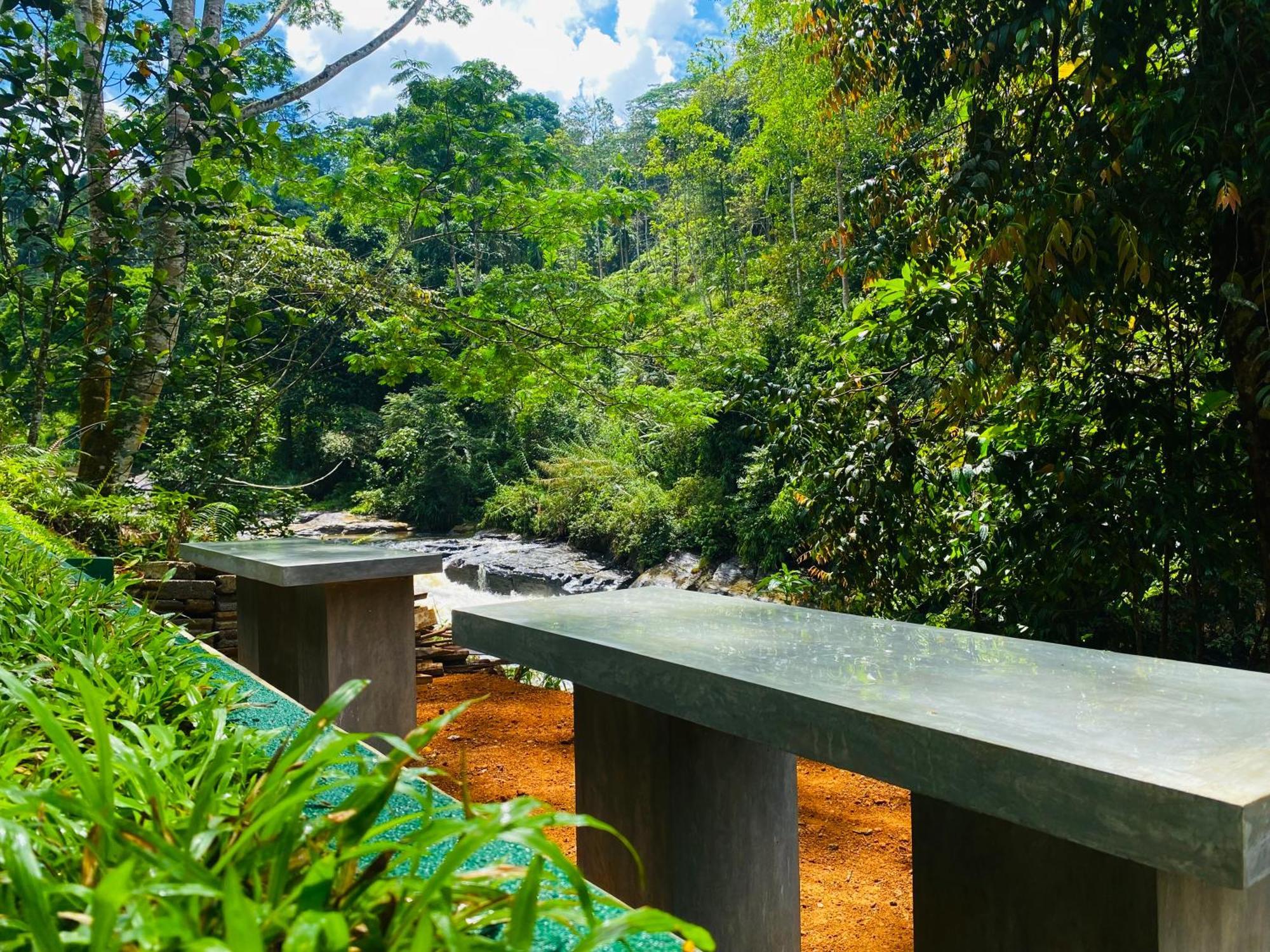 The Rainforest Hideaway Deniyaya Esterno foto