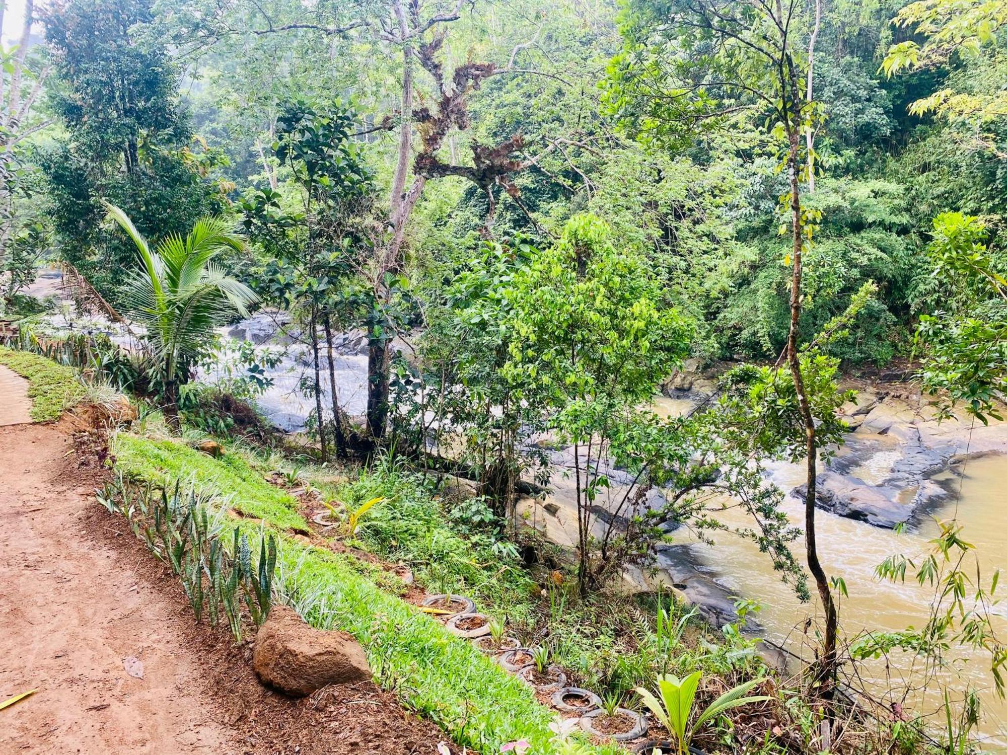 The Rainforest Hideaway Deniyaya Esterno foto