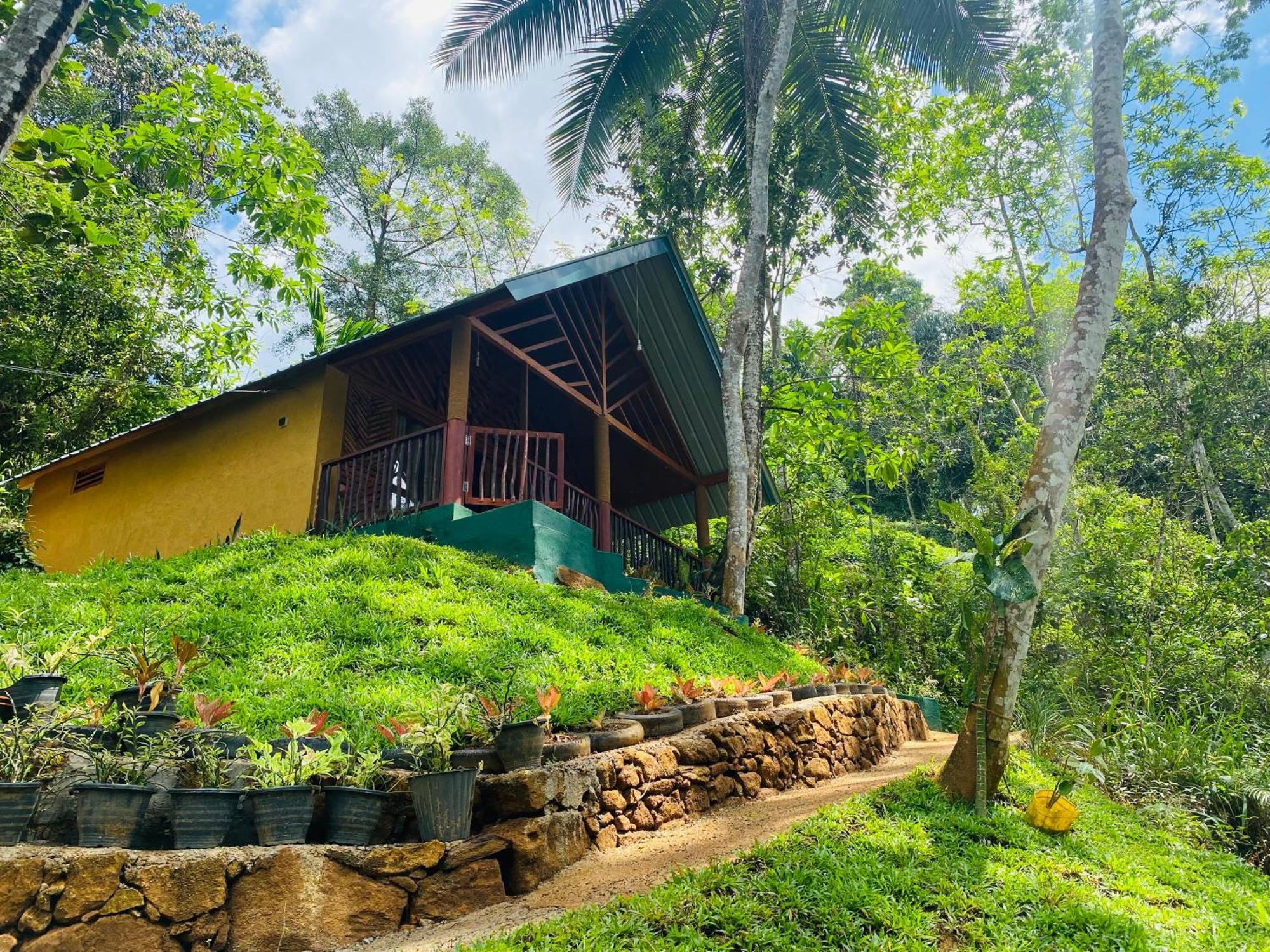 The Rainforest Hideaway Deniyaya Esterno foto